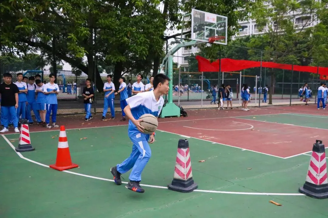 篮球训练法读后感怎么写_1